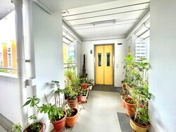 Blk 434 Ang Mo Kio Avenue 10 (Ang Mo Kio), HDB 3 Rooms #389103181